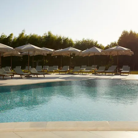 Absolute كوتاري