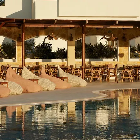 Absolute كوتاري