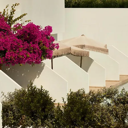Hotel Absolute